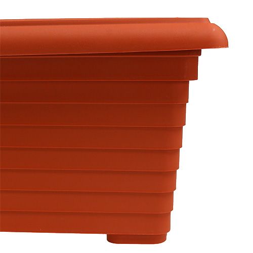 Floristik24 Balkonbox &quot;Nowa&quot; terracotta 64cm, 1st