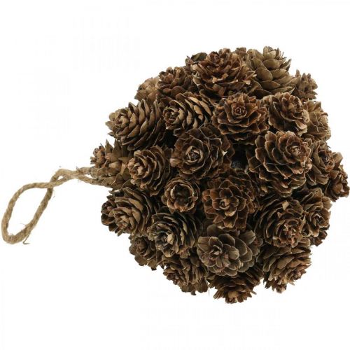 Artikel Lariks kegel hangende decoratie kegels voor het ophangen van natuur Ø10cm