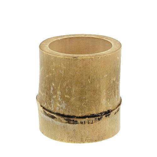 Bamboe plantenbak Ø7cm H10cm