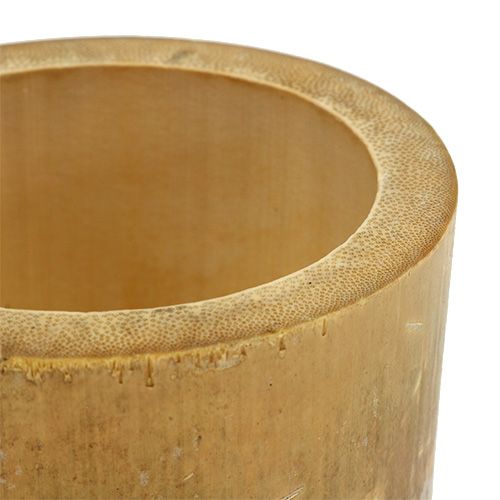 Floristik24 Bamboe plantenbak Ø7cm H10cm