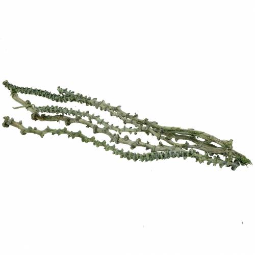 Artikel Bananenstengel Dekoast Groen, white washed 20 st