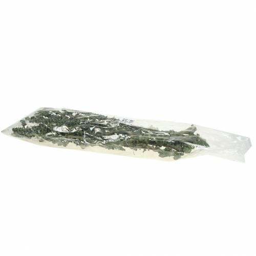 Artikel Bananenstengel Dekoast Groen, white washed 20 st