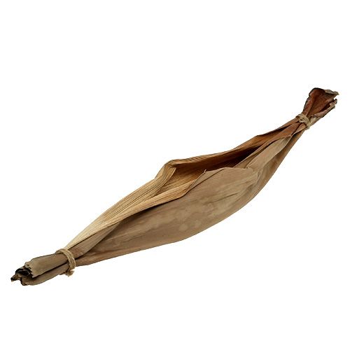 Floristik24 Bananenblad schaal 40-45cm naturel 1 stuk