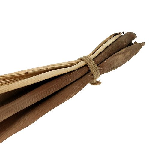 Artikel Bananenblad schaal 40-45cm naturel 1st