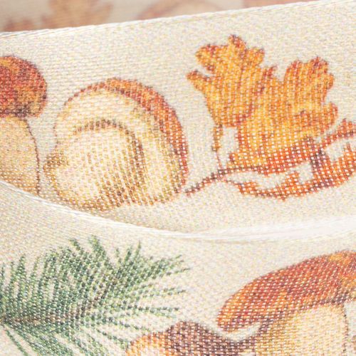 Decoratief lint met paddenstoel- en herfstbladmotief, 25 mm breed, 18 m lang | Floristik24.nl