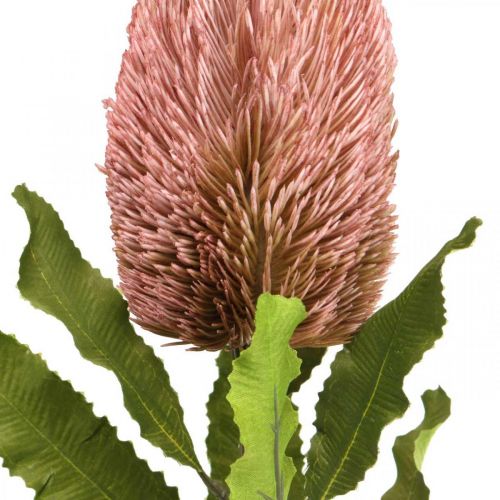 Artikel Kunstbloem Banksia roze herfstdecoratie herdenkingsbloemwerk 64cm