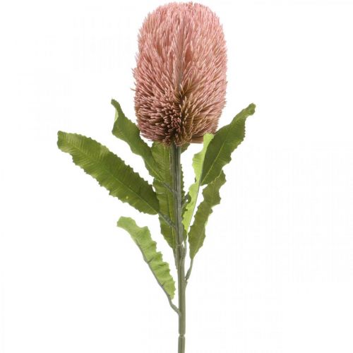 Artikel Kunstbloem Banksia roze herfstdecoratie herdenkingsbloemwerk 64cm