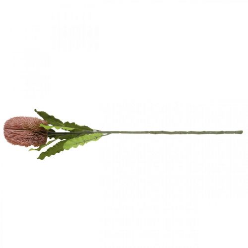 Artikel Kunstbloem Banksia roze herfstdecoratie herdenkingsbloemwerk 64cm