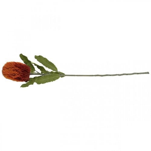 Artikel Kunstbloem Banksia Oranje Herfstdecoratie Begrafenisbloemen 64cm