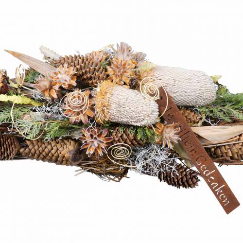 Floristik24 Banksia Hookerana naturel 7 st
