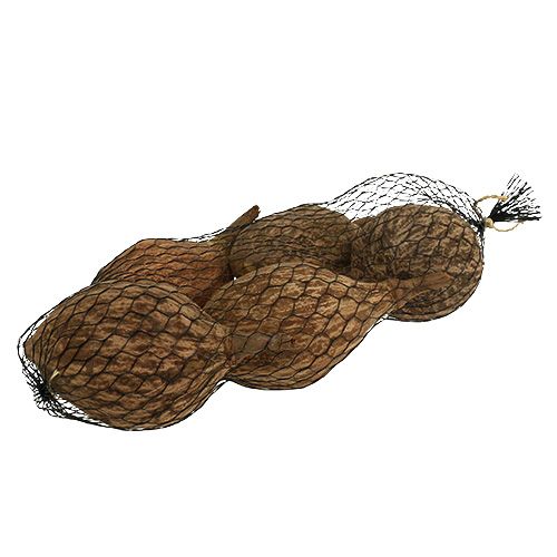 Floristik24 Baobab fruit geschild 15cm - 20cm naturel 5st