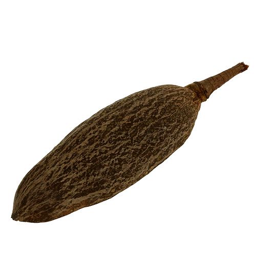 Floristik24 Baobab schaal naturel 30cm - 38cm geschild