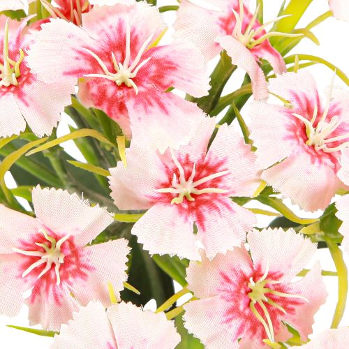 Artikel Baardanjer kunstanjer Perzik Roze 52cm