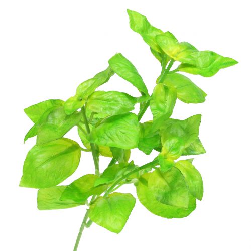 Floristik24 Basil kunstgroen 25cm 6st