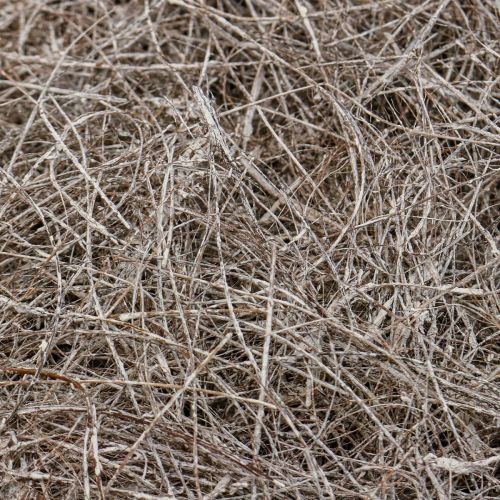 Artikel Ambachtelijke materiaal palmvezels white washed palmyra palm 1kg