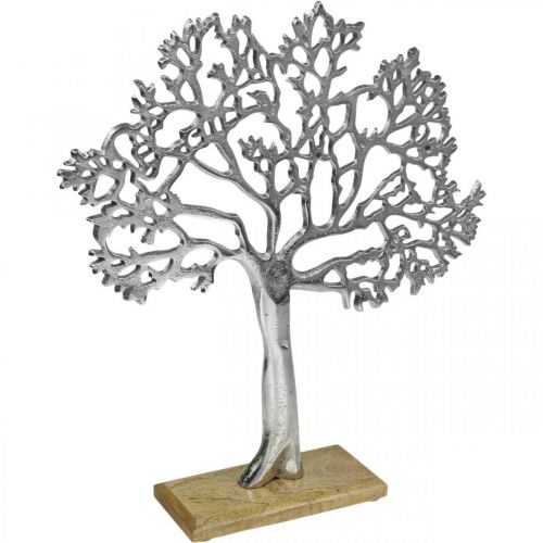 Straat Hoofdkwartier onbetaald Floristik24.nl Deco boom metaal groot, metalen boom zilver hout H42.5cm - goedkoop online kopen Straat Hoofdkwartier onbetaald Floristik24.nl Deco boom metaal groot, metalen boom zilver hout H42.5cm - goedkoop online kopen