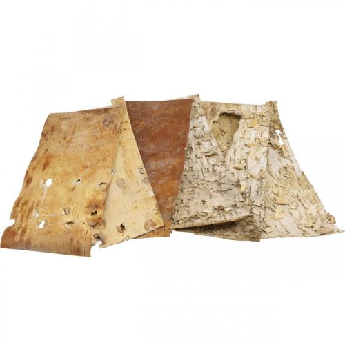 Floristik24 Boomschors decoratieve schorsstroken natuurlijke berkenschors 30×12cm 6 st