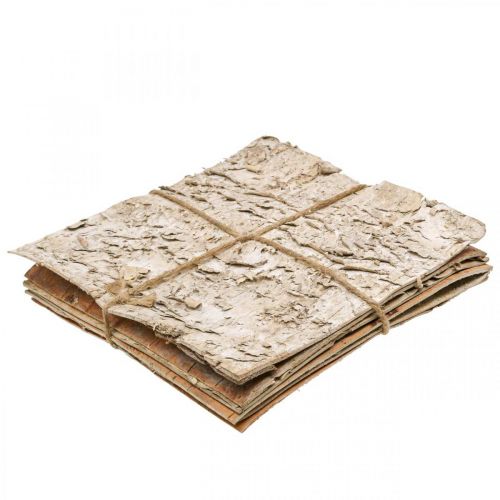 Floristik24 Boomschors decoratieve bast vierkant berkenschors naturel 20×20cm 6 st