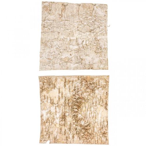 Floristik24 Boomschors deco bark vierkant berkenschors naturel 20×20cm 6st