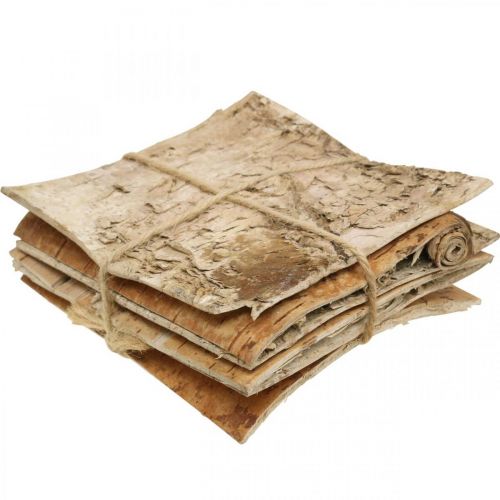 Floristik24 Boomschors decoratieve bast vierkant berkenschors naturel 10×10cm 6 st