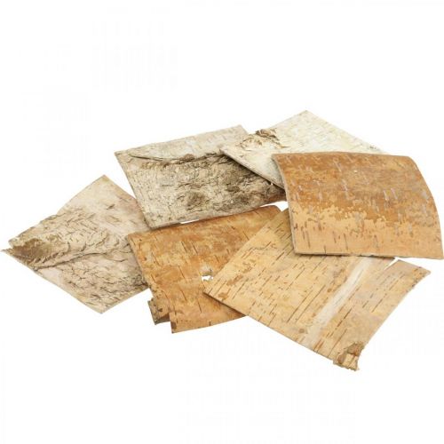 Floristik24 Boomschors decoratieve bast vierkant berkenschors naturel 10×10cm 6 st