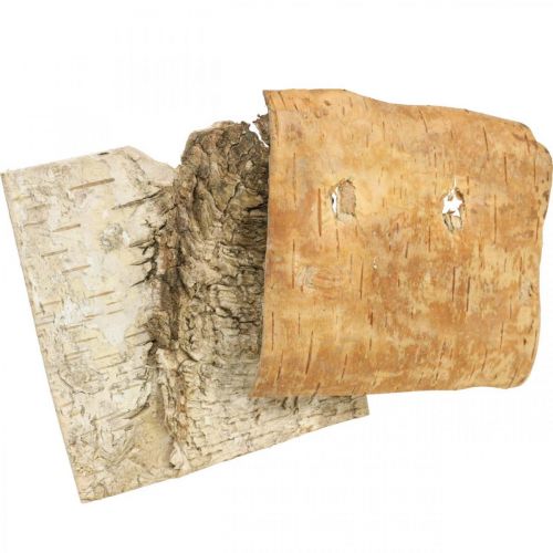 Floristik24 Boomschors decoratieve bast vierkant berkenschors naturel 10×10cm 6 st