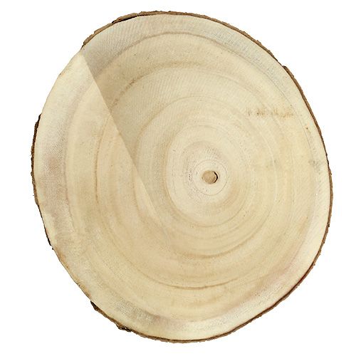 Floristik24 Boomschijf natuur Ø20cm - 30cm