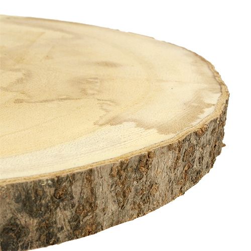 Floristik24 Boomschijf Ø30cm - 35cm natuurlijk