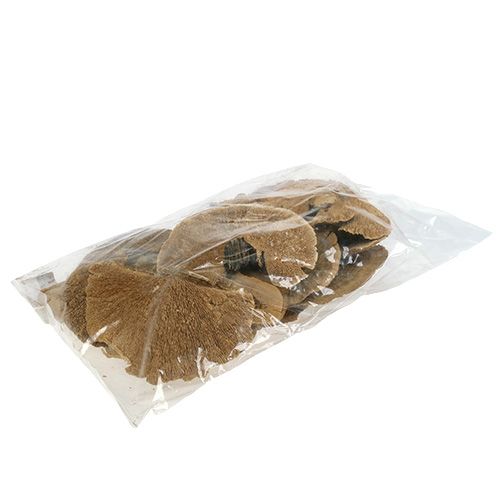 Floristik24 Boomspons natuur 500g