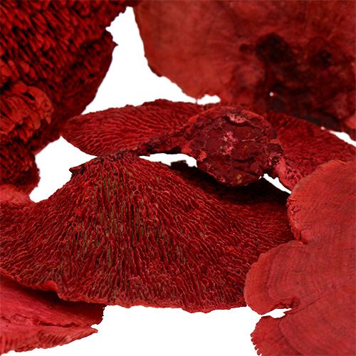Artikel Boomspons rood 1kg