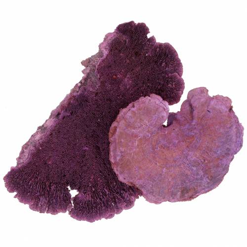 Artikel Boomspons paars wit gewassen 1kg