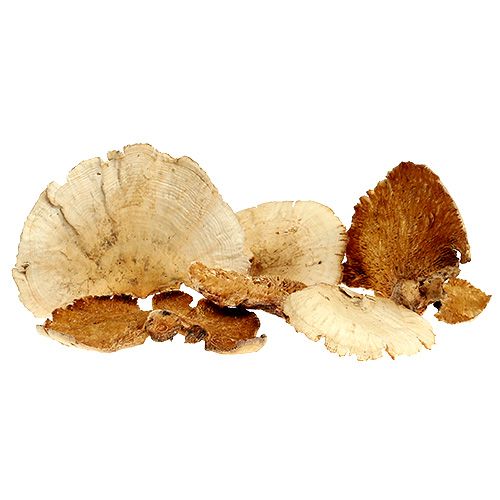 Boomspons gebleekt 1kg