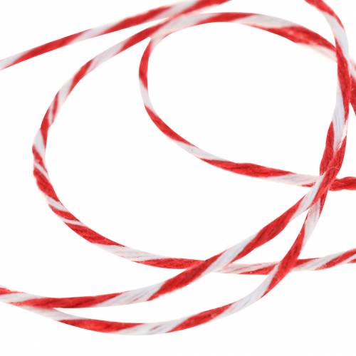 Floristik24 Snoer rood/wit 220m