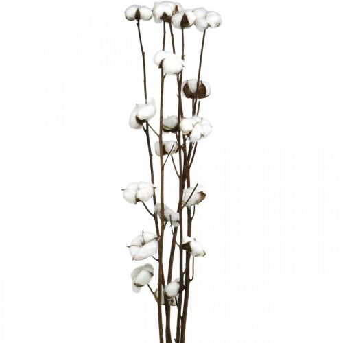 Artikel Katoenen tak, katoenen decoratieve tak, echt katoen L80cm 5 stuks