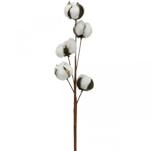 Artikel Katoenen takdecoratie Echte katoenen decoratieve tak 5 koppen 50cm