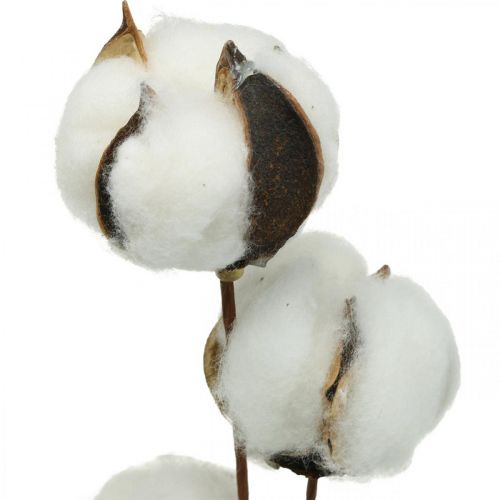 Artikel Katoenen takdecoratie Echte katoenen decoratieve tak 5 koppen 50cm
