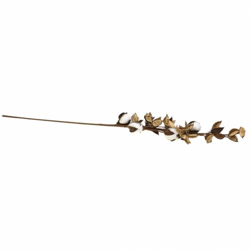 Floristik24 Katoenen tak 75cm