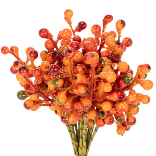 Tros oranje bessen, 20 cm lang kopen | Floristik24.nl