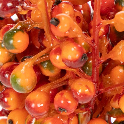 Tros oranje bessen, 20 cm lang | Floristik24.nl