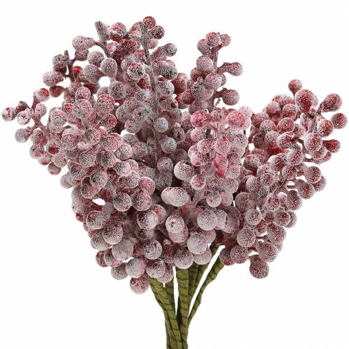 Floristik24 Bessenpluk rood, bevroren 21cm 12 st