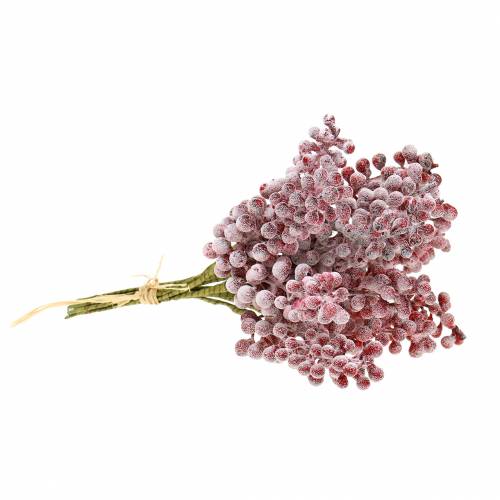 Floristik24 Bessenpluk rood, bevroren 21cm 12 st