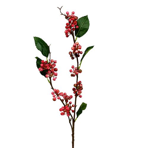 Floristik24 Bessentak kunst rood-wit 64cm 6st