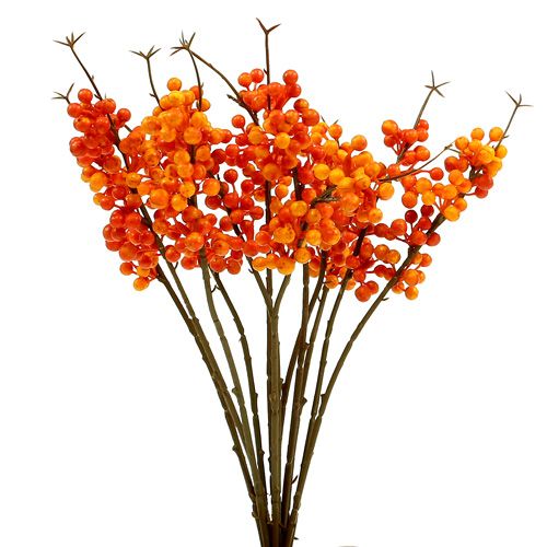 Floristik24 Bessentak oranje L 30cm 12st