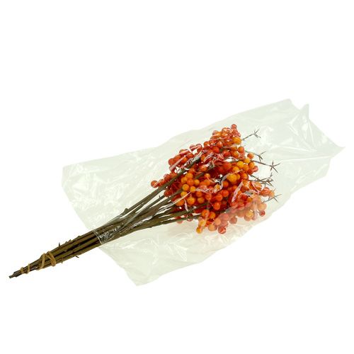 Floristik24 Bessentak oranje L 30cm 12st