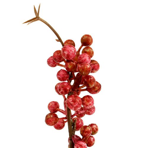 Floristik24 Bessentak roze L 28cm 12st