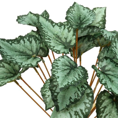 Floristik24 Kunstmatige begonia bush groen 30cm