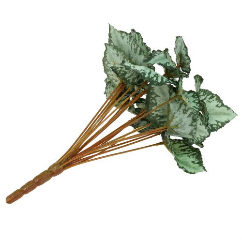 Floristik24 Kunstmatige begonia bush groen 30cm