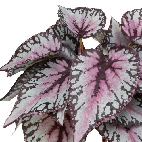 Artikel Begonia kunstplant Bordeaux 37cm