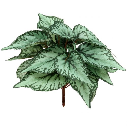 Floristik24 Begonia kunstplant kunstplant groen 34cm