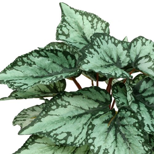 Floristik24 Begonia kunstplant kunstplant groen 34cm